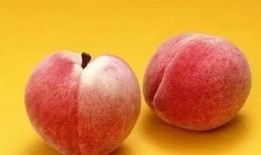 桃子吃瓜图片,一场视觉盛宴