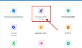 吃瓜pen网站,带你领略网络热点的魅力与真相