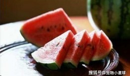 梦见在瓜田里吃瓜,瓜田里的甜蜜诱惑