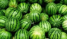 pp吃瓜群,网络社交新现象背后的故事