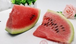 吃瓜不切大号,网络热词背后的趣味与思考