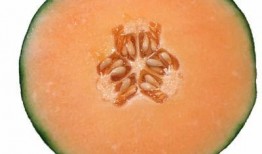 怀孕吃蜜瓜,蜜瓜的营养益处与食用指南