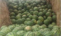 阿桥吃瓜,揭秘娱乐圈背后的那些事儿