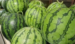 吃瓜双顶流,揭秘吃瓜双顶流的传奇故事