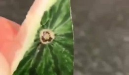 吃瓜吃的嘴角痛