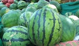 苏北老瓜怎么吃,传统美食的传承与创新