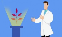 俗语走路吃瓜,笑谈瓜事——行走间的趣味人生