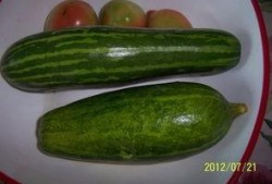 江西周劼吃瓜,揭秘“富二代”的奢华生活与争议事件