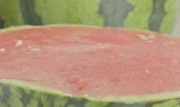 吃瓜福利中心,带你领略瓜界盛宴背后的秘密