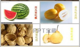 ppt吃瓜感想,一场视觉与情感的盛宴