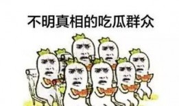 太太圈吃瓜意思,吃瓜背后的娱乐真相
