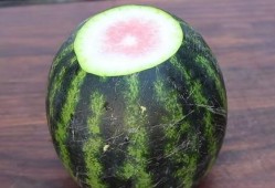 菜哥吃瓜,揭秘娱乐圈那些不为人知的幕后故事