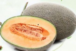 哪些瓜隔夜可以吃,哪些瓜果安全美味依旧