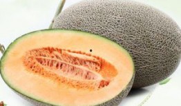 哪些瓜隔夜可以吃,哪些瓜果安全美味依旧