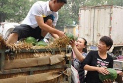 秀才吃卖瓜摊老板的瓜,智慧化解尴尬场面