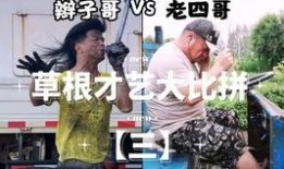 细碎吃瓜小说,揭秘吃瓜小说背后的故事