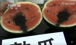 吃瓜玩具的视频,趣味互动，寓教于乐新体验