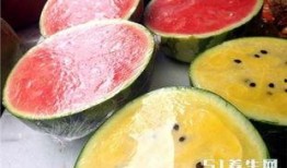 桃子吃瓜图片,一场视觉盛宴