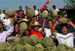 吃瓜群众组个队