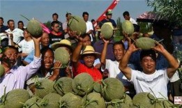 吃瓜群众组个队