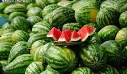 西宁回民阿爷吃瓜