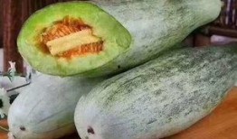 甜包瓜如何吃,甜包瓜的多重美味吃法探索