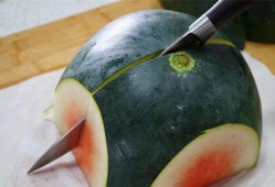 吃瓜不切大号,网络热词背后的趣味与思考