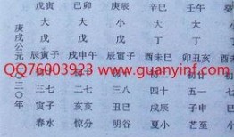 吃瓜仙女算命帖,趣味解读命运之谜