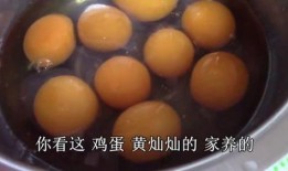 包大黑吃瓜,揭秘娱乐圈幕后故事