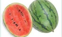 为何吃瓜会过敏,为何吃瓜也能引发过敏反应