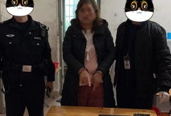 警中警吃瓜,揭秘警队内部“吃瓜”风云