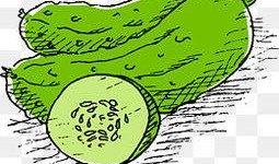 埋头吃瓜照片大全,聚焦那些埋头吃瓜的精彩瞬间