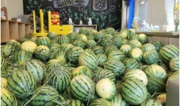 51吃瓜网今日吃瓜资源星野