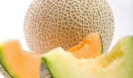 吃哈密瓜好困口腔,揭秘吃哈密瓜后为何容易困倦的口腔奥秘