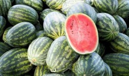 每人6个瓜5个没瓜吃,每人6瓜5瓜空，共享欢乐滋味长