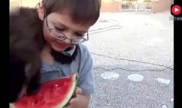 男的讲故事吃瓜,那些年我们一起吃过的瓜