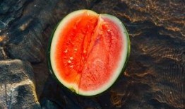 蓉吃瓜人,揭秘娱乐圈幕后故事