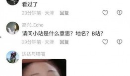 吃瓜二舅爸爸,一场家庭美食盛宴的温馨故事