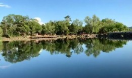 夏夜乘凉吃瓜,一场难忘的夏日盛宴