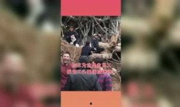 qq吃瓜星球,揭秘网络社交的“瓜田”盛景