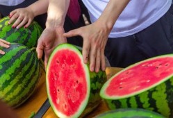 西林大学吃瓜原视频,一场校园风云录