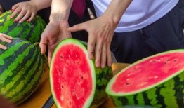 西林大学吃瓜原视频,一场校园风云录