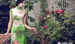 吃瓜盟主说旗袍,一场视觉与文化的盛宴