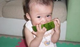 小猪吃瓜天涯,揭秘天涯社区那些事儿