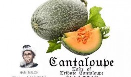 快乐吃瓜号,快乐吃瓜号带你畅游八卦盛宴