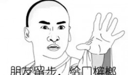 吃瓜我是陈主任,网络红人的崛起与争议