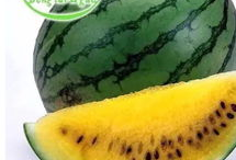 大古镇集吃瓜,一场别开生面的吃瓜盛宴