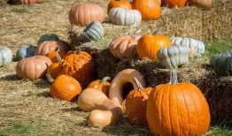 带你吃瓜滑梯,体验不一样的欢乐时光