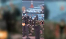 qq吃瓜星球,揭秘网络社交的“瓜田”盛景