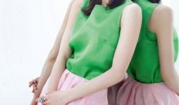 刘诗诗宋茜粉丝吃瓜,吃瓜大战背后的明星效应